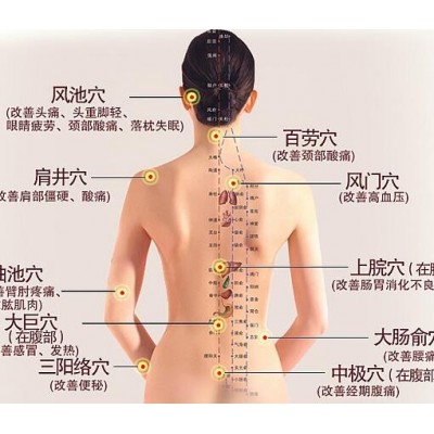 【经络按摩】 经络按摩诚邀加盟图2