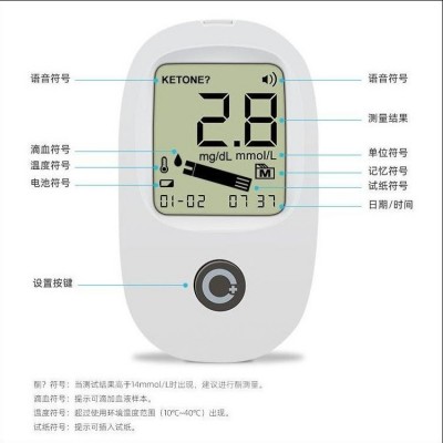 血糖仪厂家直销家用医用免调码血糖检测仪血糖试纸套装测量高血糖图3