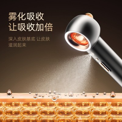 璐瑶便携式手持注氧仪家用 纳米高压喷雾器 注氧补水仪批发 喷枪图2