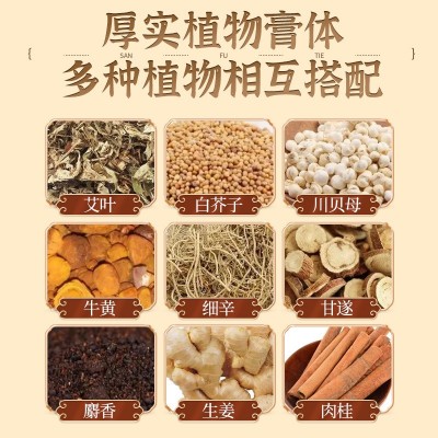 北京同仁堂滋儿道补艾草三伏贴艾草膏贴关节穴位三伏贴源头厂家图3