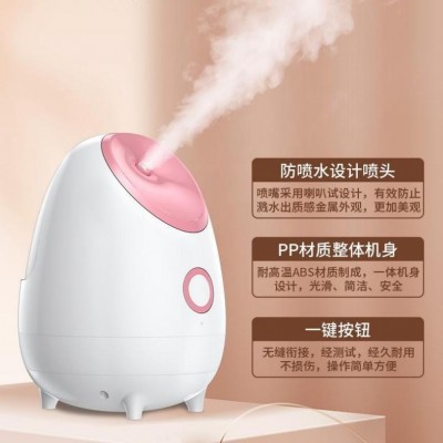 外贸脸部热喷雾器美容仪热喷蒸脸仪家用补水仪加湿雾化机蒸脸器图2
