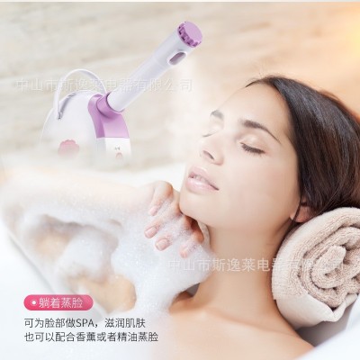 厂家直销草药离子冷热喷雾机家用补水保湿蒸脸器美容仪器热喷雾仪图3