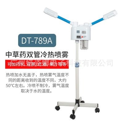 厂家批发泰东118蒸脸器补水仪蒸面机 美容院立式单热喷雾机美容仪图5