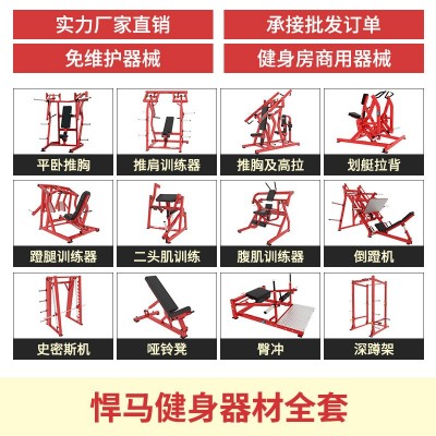 悍马健身器材商用全套大型肩背胸臀腿力量器械健身器材健身房专用图2