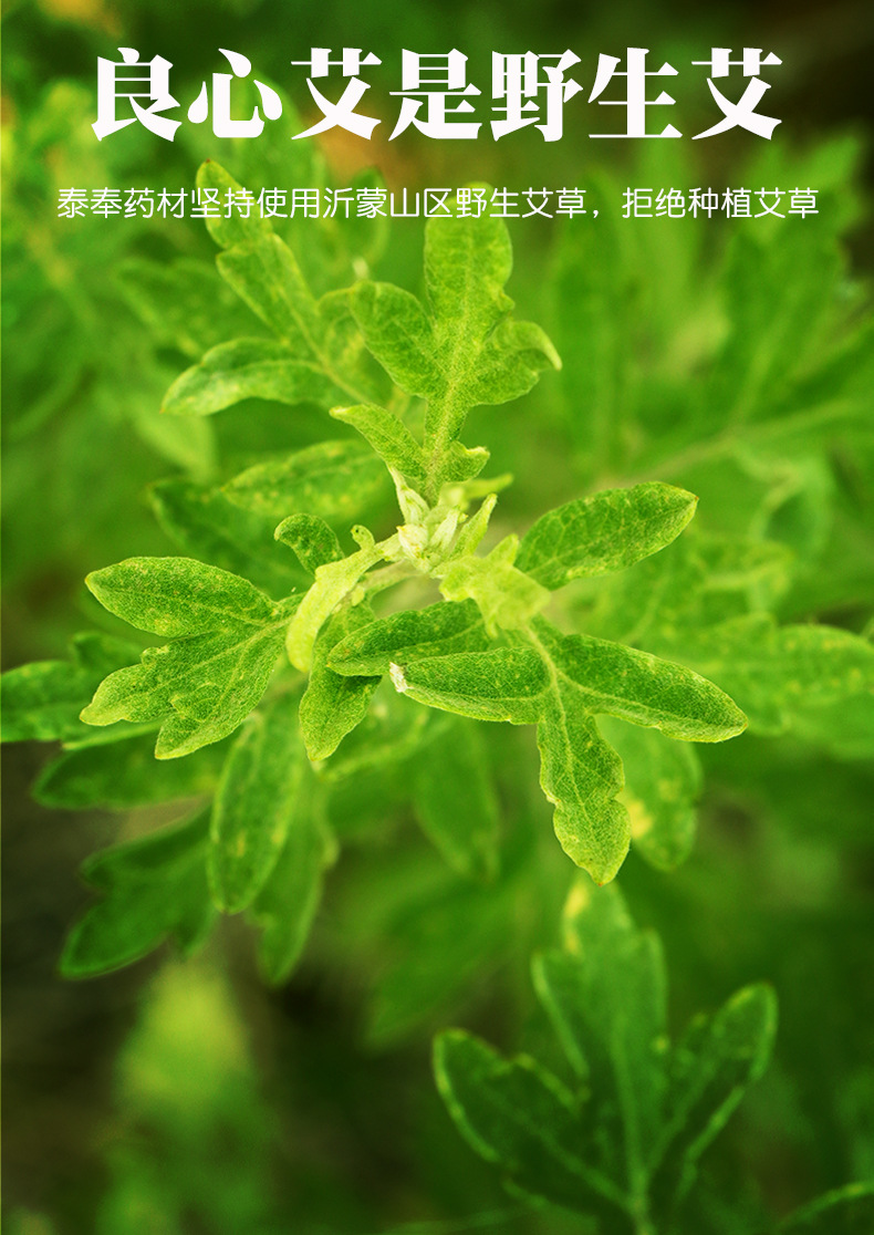 详情_07.jpg