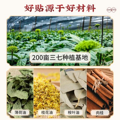 广药白云山姜黄三七贴膏 颈椎腰椎贴骨痛腰疼云南文山艾草三七贴图3