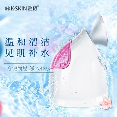 金稻热喷蒸脸器家用美容仪器纳米喷雾补水仪批发小型蒸脸仪喷雾仪图4