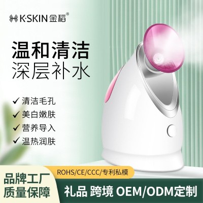 金稻热喷蒸脸器家用美容仪器纳米喷雾补水仪批发小型蒸脸仪喷雾仪图2