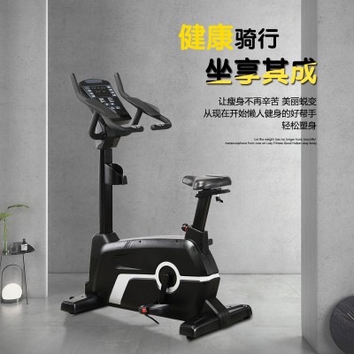 家用商用立式单车室内静音有氧磁控运动训练稳固不晃动健身器材图2