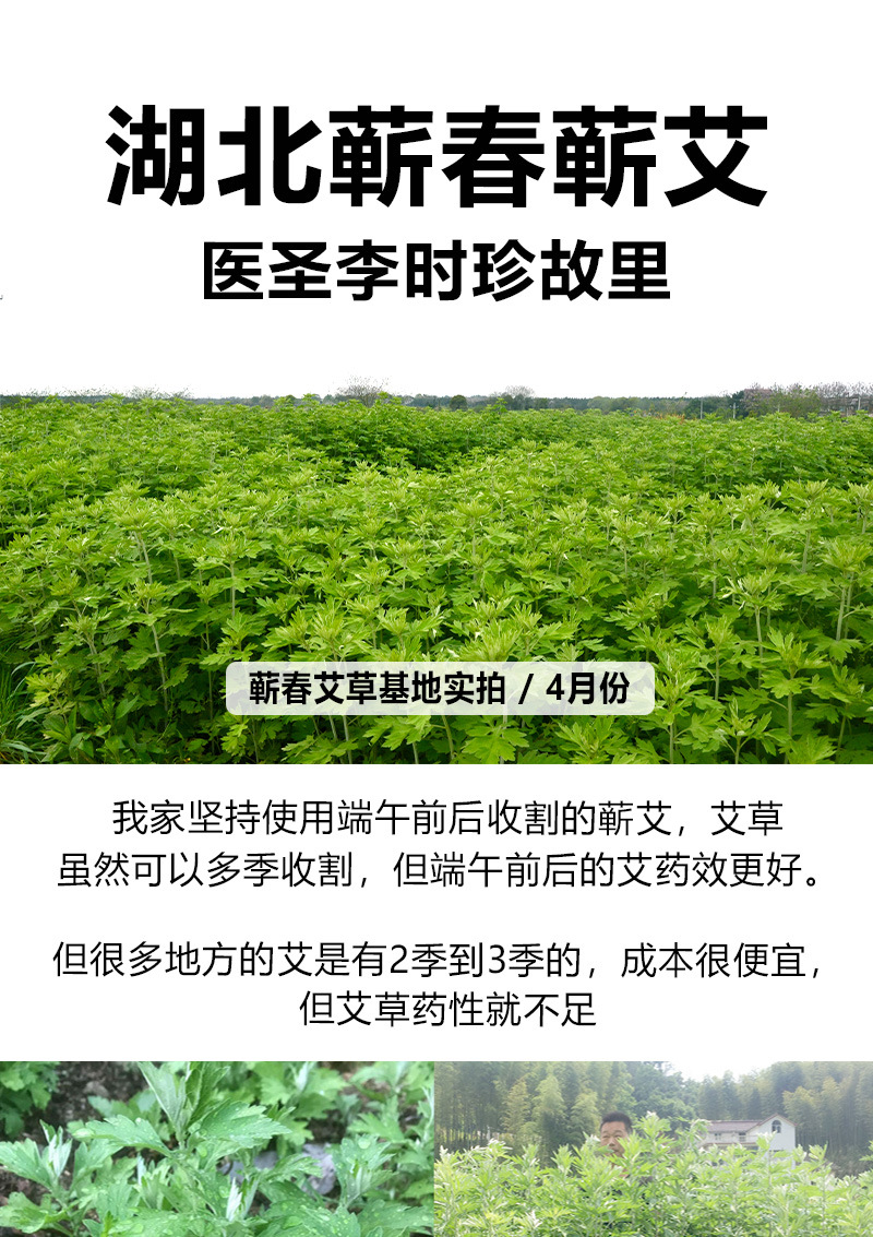 3cm桑条-新作_04.jpg