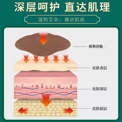厂家源头批发家用艾草油切大肚贴纤姿肚脐贴温灸贴艾灸大肚贴图3