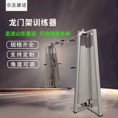 厂家供应 大飞鸟综合训练器龙门架训练器 大型综合型多功能训练器图3