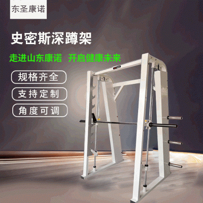 厂家供应史密斯训练器深蹲架挂片式健身器材商用健身房专用健身器图3