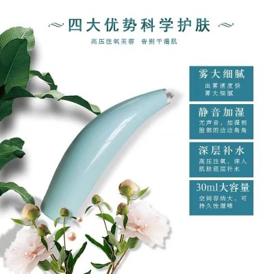 手持注氧仪美容仪导入仪嫩肤纳米注氧仪家用纳米注氧仪情人节送礼图3