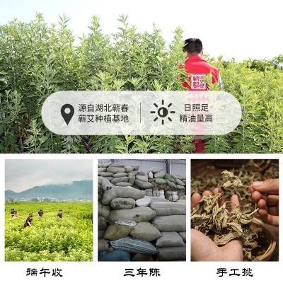 蕲都御艾堂54粒蕲艾柱三年陈2cm艾灸柱批发石臼手工艾柱 一件代发图4