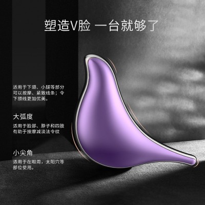 美颈仪小海豚美容仪微电流导入仪震动提拉彩光脸部仪器热敷刮痧仪图2