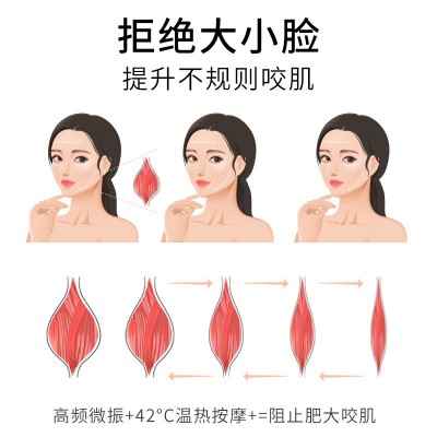 美颈仪小海豚美容仪微电流导入仪震动提拉彩光脸部仪器热敷刮痧仪图4