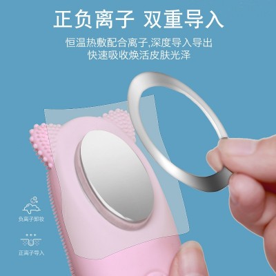 超声波负离子电动防水硅胶洁面仪 家用毛孔清洁美容仪温感洗脸仪图3