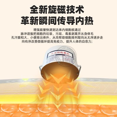太赫兹小太阳能量热疗仪光照细胞修复仪量子光波微磁频谱养生仪器图3