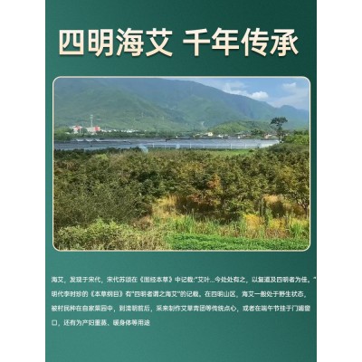 艾柱艾条纯艾叶艾绒艾灸器械五年陈海艾艾灸工具配件艾昇堂海艾图3