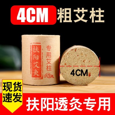 批发4X5cm扶阳透灸艾灸柱专用加大加粗艾柱家用重灸仪透灸仪6粒装图3