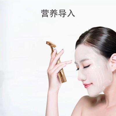 工厂直发电子美容仪家用脸部按摩仪黄金棒精华导入眼部按摩仪图2