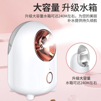 外贸跨境蒸脸仪脸部冷热喷雾器家用补水仪美容仪加湿雾化机蒸脸器图4