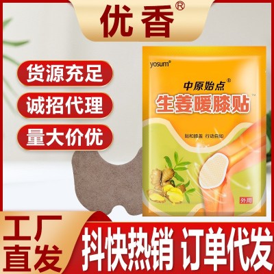 云南艾灸贴图2