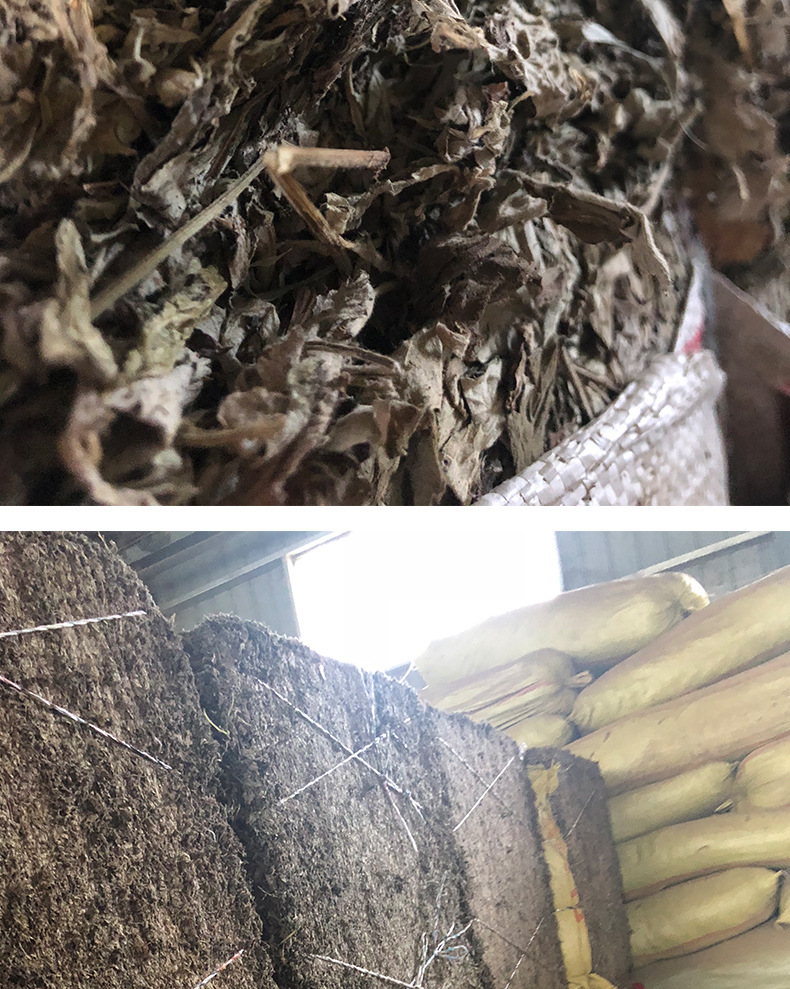 加粗艾条祥页