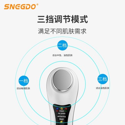 SNEGDO冷热离子美容护肤仪器美容导入仪脸部按摩电子美容仪器批发图3