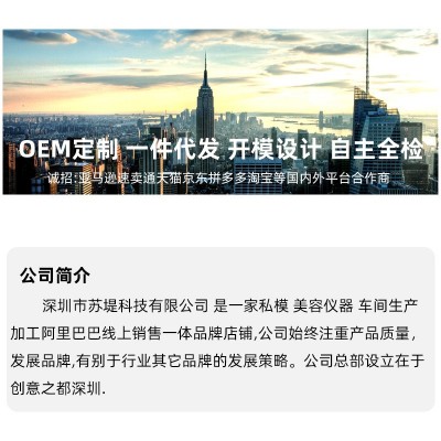 电子美容仪多功能光子嫩肤导入仪亮白浄肤红蓝光导入仪脸部美容器图2
