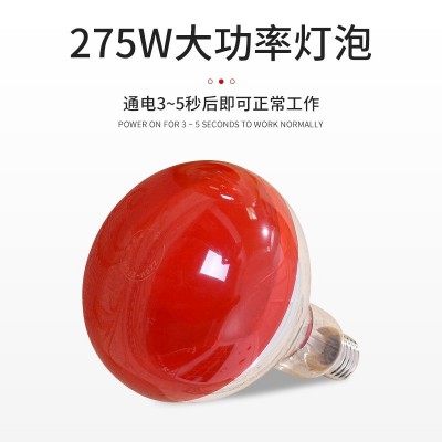 远红外线电热单头烤灯美容院使用美容仪立式烤灯家用理疗美肤灯图2