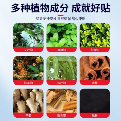 白云山星群艾草蝶臂贴 胳膊贴手臂贴艾草温灸贴纤臂贴 美臂贴图4