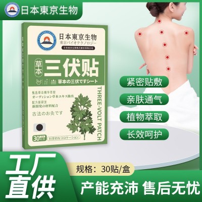 日本东京生物艾草三伏贴 夏季三九贴伏湿贴颈肩腰腿关节贴温灸贴图2