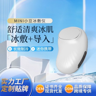 冷热小冰锤美容仪脸部导入震动按摩仪晒后镇静舒缓冰导仪源头工厂图2