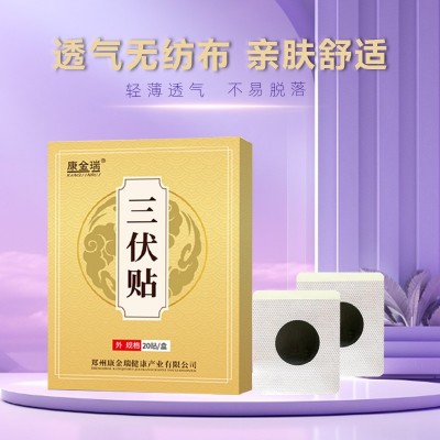 厂家贴牌定制艾草三伏保健贴春夏三九贴日常老年人学生膏药穴位贴图3