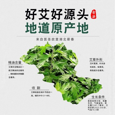 厂家批发蕲春陈艾条纯艾草叶艾灸用艾柱盒装手工艾灸柱条现货图3