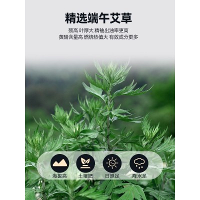 3cm*4CM加粗艾柱多比例 艾灸扶阳透灸陈年灸床艾柱纯艾绒厂家批发图3