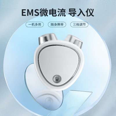 跨境升级款微电流美容仪旅行便携充电双头按摩仪 USB双滚轮按摩器图2