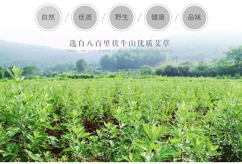 护颈贴--详情_01_副本