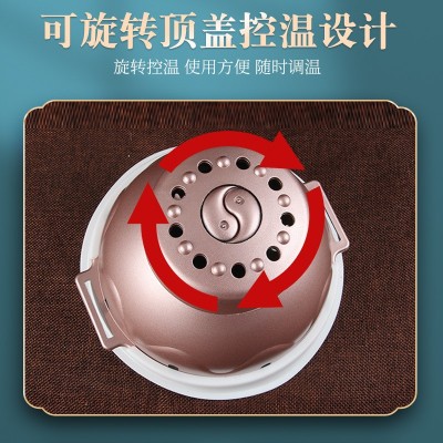 新款宫廷灸具艾灸盒家用随身灸艾柱艾条温灸器美容院艾灸用具批发图3